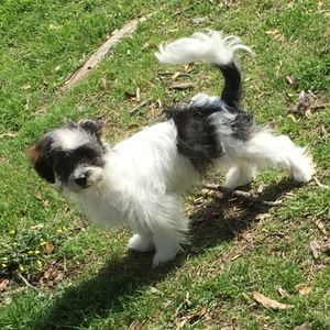 Meet your Posher, Letisia